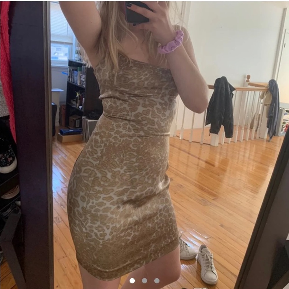 Jay Godfrey Vanessa Animal Print Dress